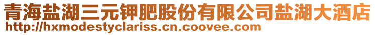 青海鹽湖三元鉀肥股份有限公司鹽湖大酒店