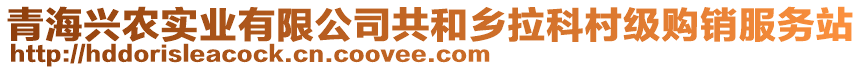 青海興農(nóng)實(shí)業(yè)有限公司共和鄉(xiāng)拉科村級(jí)購(gòu)銷服務(wù)站