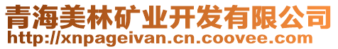 青海美林礦業(yè)開發(fā)有限公司