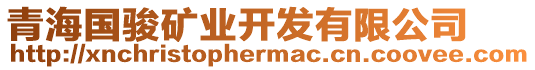 青海國駿礦業(yè)開發(fā)有限公司