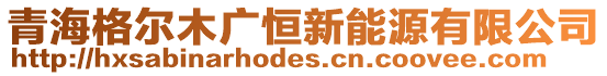 青海格爾木廣恒新能源有限公司