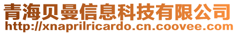 青海貝曼信息科技有限公司