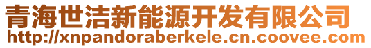 青海世潔新能源開發(fā)有限公司