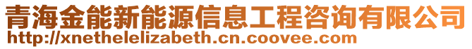 青海金能新能源信息工程咨詢有限公司