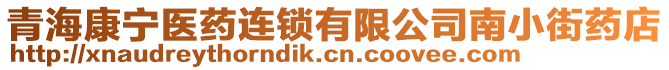 青海康寧醫(yī)藥連鎖有限公司南小街藥店