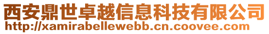 西安鼎世卓越信息科技有限公司