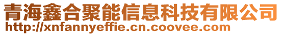 青海鑫合聚能信息科技有限公司