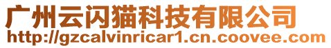 廣州云閃貓科技有限公司