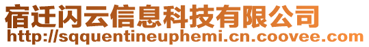 宿遷閃云信息科技有限公司