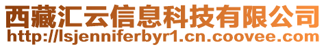 西藏匯云信息科技有限公司