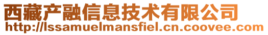 西藏產融信息技術有限公司