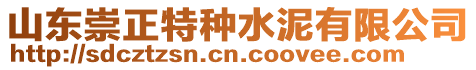 山東崇正特種水泥有限公司