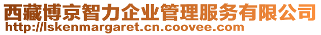 西藏博京智力企業管理服務有限公司
