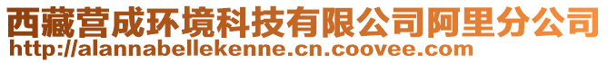 西藏营成环境科技有限公司阿里分公司