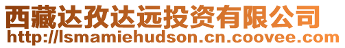 西藏達孜達遠投資有限公司
