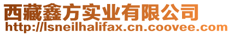 西藏鑫方實業(yè)有限公司