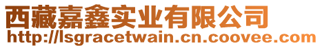 西藏嘉鑫實(shí)業(yè)有限公司