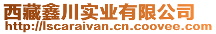 西藏鑫川實(shí)業(yè)有限公司