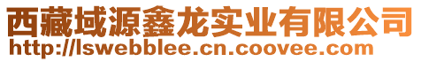 西藏域源鑫龙实业有限公司