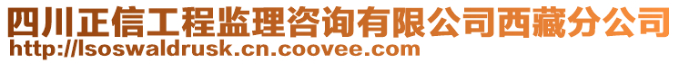 四川正信工程监理咨询有限公司西藏分公司