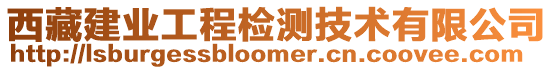 西藏建業(yè)工程檢測(cè)技術(shù)有限公司