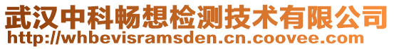 武漢中科暢想檢測技術(shù)有限公司