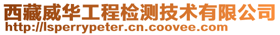 西藏威華工程檢測技術有限公司