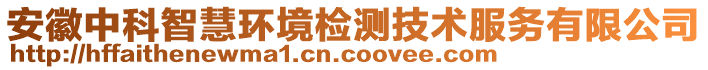 安徽中科智慧環境檢測技術服務有限公司
