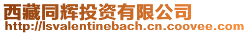 西藏同輝投資有限公司