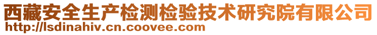 西藏安全生產檢測檢驗技術研究院有限公司