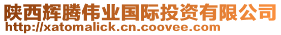 陜西輝騰偉業(yè)國(guó)際投資有限公司