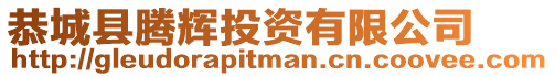 恭城縣騰輝投資有限公司