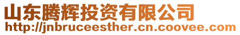 山東騰輝投資有限公司