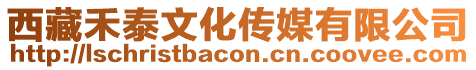 西藏禾泰文化傳媒有限公司