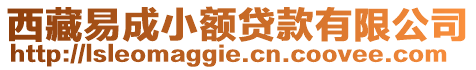 西藏易成小額貸款有限公司