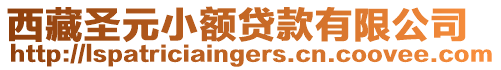 西藏圣元小額貸款有限公司