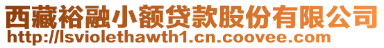 西藏裕融小額貸款股份有限公司