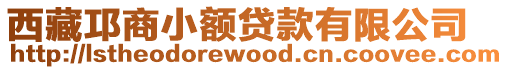 西藏邛商小額貸款有限公司