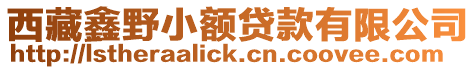西藏鑫野小額貸款有限公司