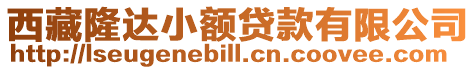 西藏隆達小額貸款有限公司