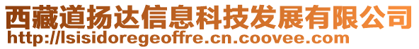 西藏道揚達信息科技發(fā)展有限公司