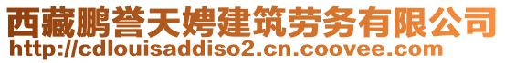 西藏鵬譽(yù)天娉建筑勞務(wù)有限公司