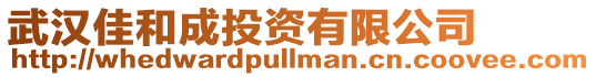 武漢佳和成投資有限公司