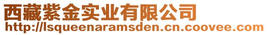 西藏紫金實業有限公司