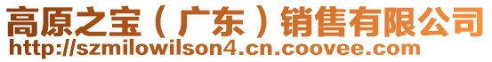 高原之寶(廣東)銷售有限公司