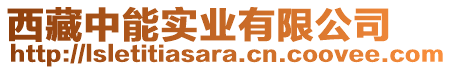 西藏中能實業(yè)有限公司