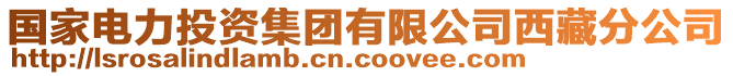 國家電力投資集團有限公司西藏分公司