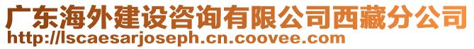 廣東海外建設(shè)咨詢有限公司西藏分公司