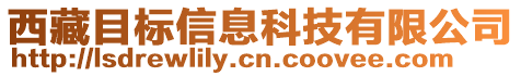 西藏目標信息科技有限公司