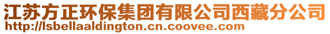 江蘇方正環保集團有限公司西藏分公司